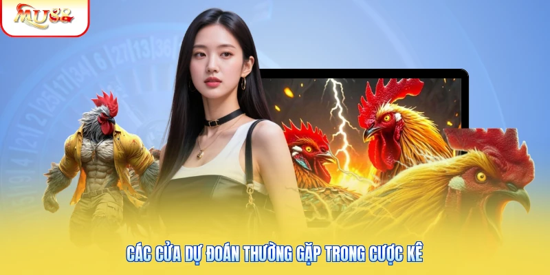 Đá Gà Mu88 | Khám Phá Sảnh Cược Kê Dễ Trúng Thưởng Khủng 3 Các cửa dự đoán thường gặp trong cược kê