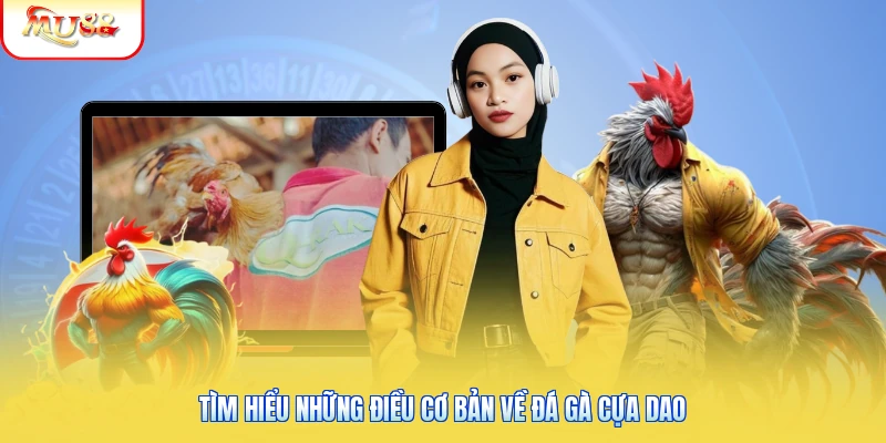Đá Gà Cựa Dao Là Gì? Tìm Hiểu Đặc Điểm Và Thuật Ngữ Phổ Biến 1 Tìm hiểu những điều cơ bản về đá gà cựa dao
