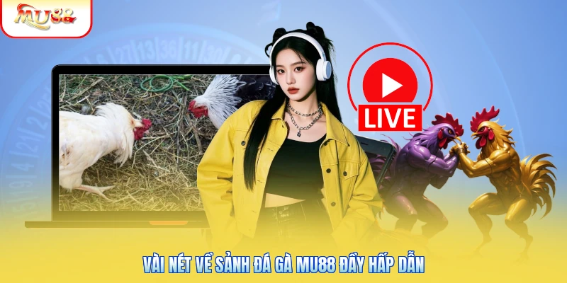 Đá Gà Mu88 | Khám Phá Sảnh Cược Kê Dễ Trúng Thưởng Khủng 1 Vài nét về sảnh đá gà Mu88 đầy hấp dẫn